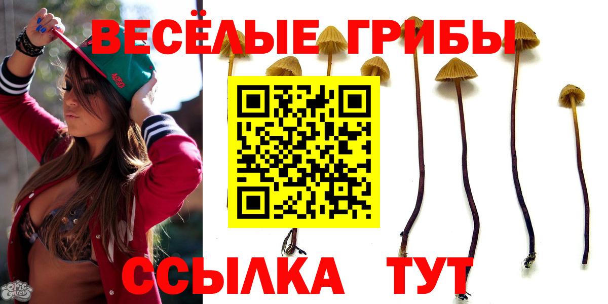 Псилоцибиновые грибы Cubensis Джанкой