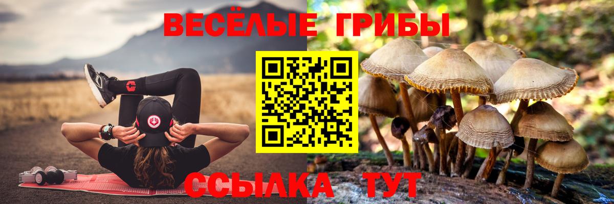 закладка  Вход с VPN  Джанкой  Псилоцибиновые грибы мицелий 