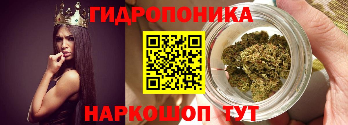 Бошки марихуана семена  Канабис индика  Вход с VPN  Марихуана гибрид  Джанкой  Бошки марихуана OG Kush 
